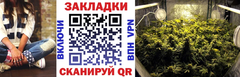 Купить наркотики Мичуринск Канабис  Alpha-PVP  ГАШ  БУТИРАТ  КОКАИН  Мефедрон 