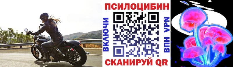 Галлюциногенные грибы MAGIC MUSHROOMS  купить закладку  Мичуринск 