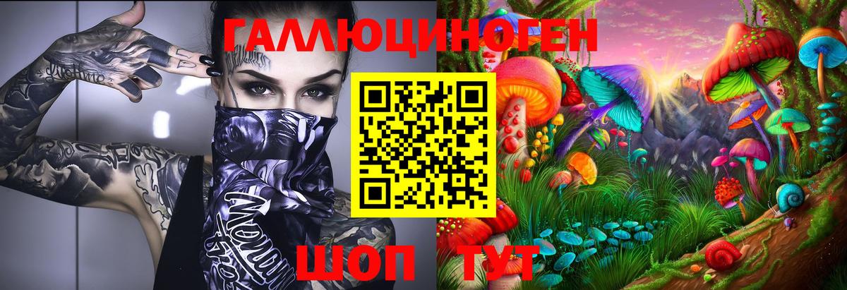 где найти   Галлюциногенные грибы Magic Shrooms  Вход с VPN  Мичуринск 